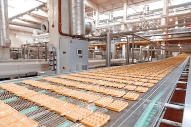 bonnia's Partner Factories food factory photo